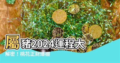 2024年 豬|2024屬豬幾歲、2024屬豬運勢、屬豬幸運色、財位、禁忌